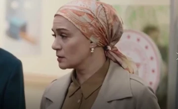 Клюквенный щербет 135 серия